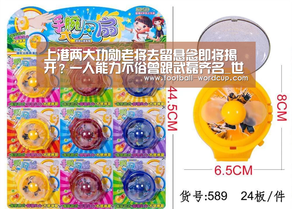 上港两大功勋老将去留悬念即将揭开？一人能力不俗曾跟武磊齐名_世界杯盘口